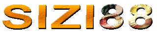 Sizi88 logo